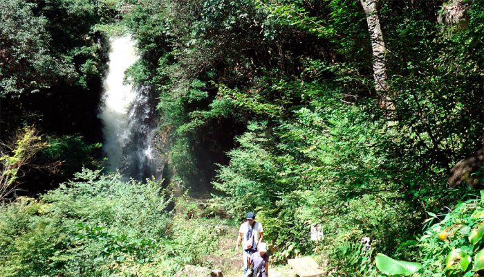 竜吟の滝